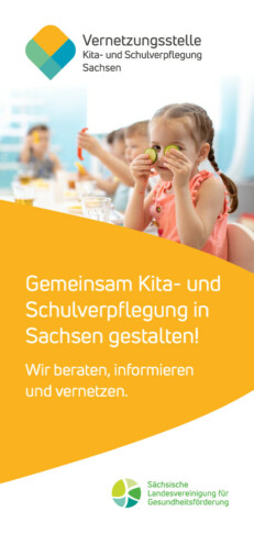 Projektflyer Vernetzungsstelle