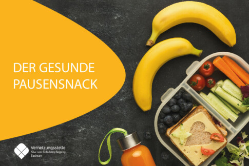 Informationsflyer Gesunder Pausensnack